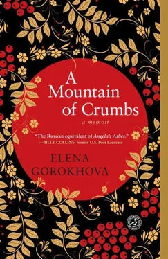 Elena Gorokhova A Mountain of Crumbs обложка книги