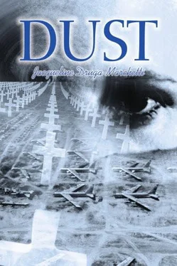 Jacqueline Druga-Marchetti Dust обложка книги