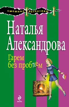 Наталья Александрова Гарем без проблем обложка книги