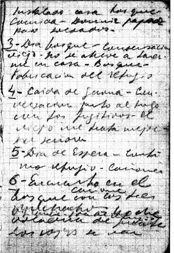 On another page also in pencil and in the same handwriting as the diary - фото 1