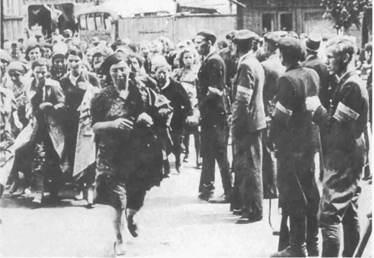 Литовская полиция уводит евреев на расстрел Каунас лето 1941 г - фото 27