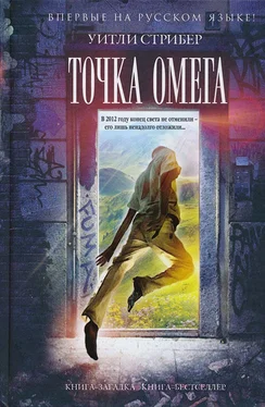 Уитли Страйбер Точка Омега обложка книги