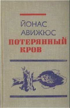 Йонас Авижюс Потерянный кров обложка книги