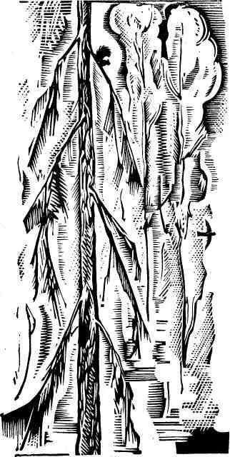 На охоту или с охоты приходилось ходить мимо дома Бегунчика Дорога тут одна - фото 5