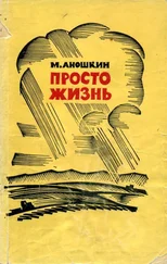 Михаил Аношкин - Просто жизнь