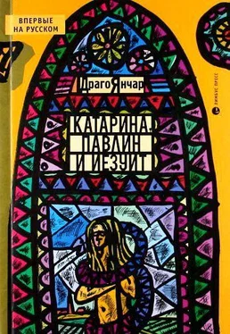 Драго Янчар Катарина, павлин и иезуит обложка книги