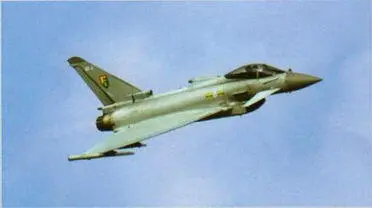 Eurofighter Typhoon кандидат в состав ВВС ОАЭ Учебнотренировочный самолет - фото 16