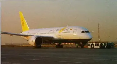 Boeing 787 бизнесджет султана Брунея AS565 Panther с управляемыми - фото 22