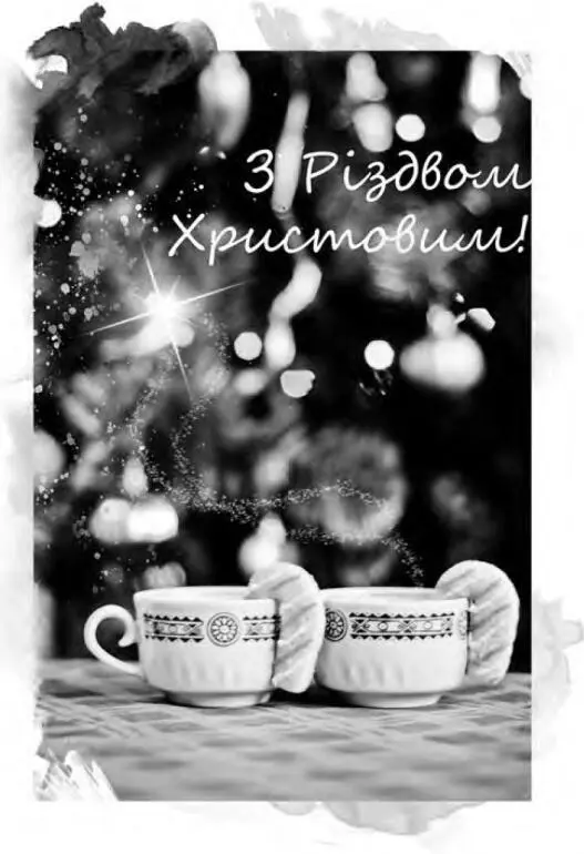 Надворі було холодно й сніжно Морозець пощипував і румянив щоки пані Ганни - фото 29