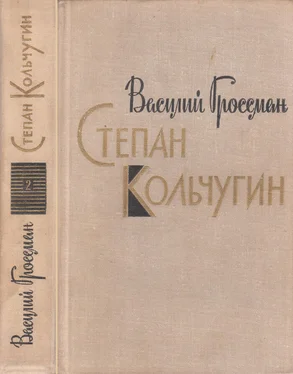 Василий Гроссман Степан Кольчугин. Книга вторая обложка книги