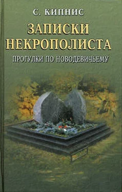 Соломон Кипнис Записки некрополиста. Прогулки по Новодевичьему обложка книги