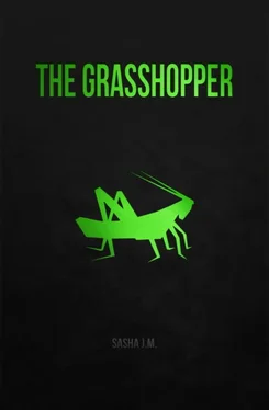 Sasha J.M. The Grasshopper обложка книги