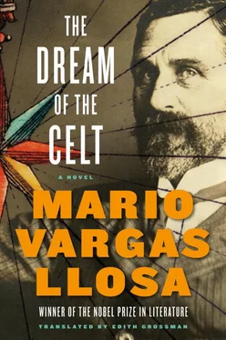 Mario Llosa The Dream of the Celt обложка книги