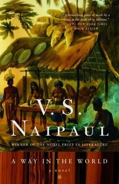 Vidiadhar Naipaul A Way in the World обложка книги