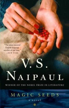 V. Naipaul Magic Seeds обложка книги