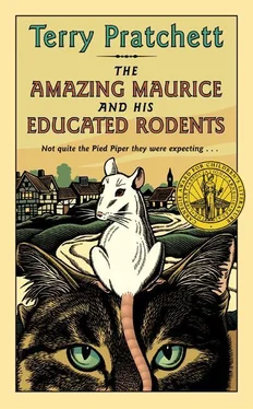 Terry Pratchett The Amazing Maurice and His Educated Rodents обложка книги