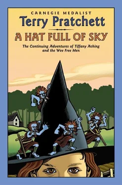 Terry Pratchett A Hat Full Of Sky обложка книги