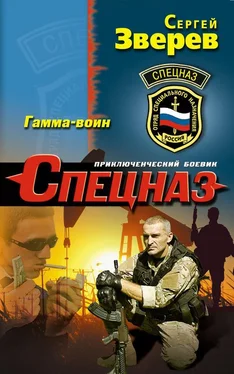 Сергей Зверев Гамма-воин обложка книги