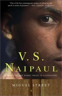 V. Naipaul Miguel Street обложка книги