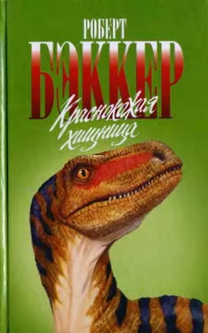 Роберт Бэккер Краснокожая хищница обложка книги