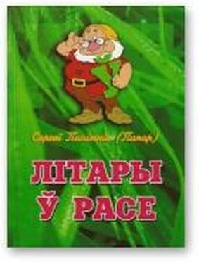 Сяргей Панізьнік Літары ў расе обложка книги