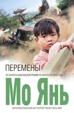 Мо Янь Перемены обложка книги