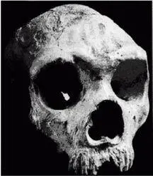 Рисунок 26 Рисунок 27 Неандертальцы Homo neanderthalensis 30 Название по - фото 6