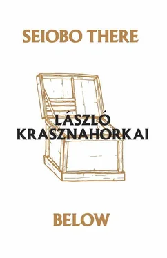 Laszlo Krasznahorkai Seiobo There Below обложка книги