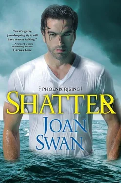 Joan Swan Shatter обложка книги
