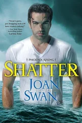 Joan Swan - Shatter