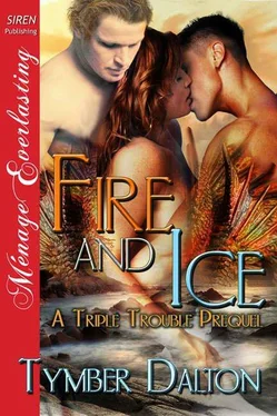 Tymber Dalton Fire and Ice обложка книги