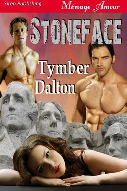 Tymber Dalton Stoneface обложка книги