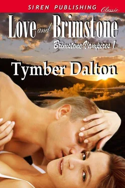 Tymber Dalton Love and Brimstone обложка книги