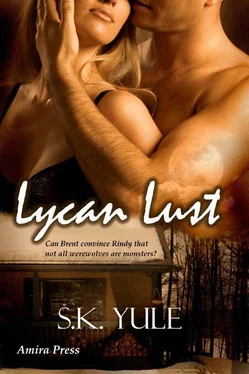 S. Yule Lycan Lust обложка книги