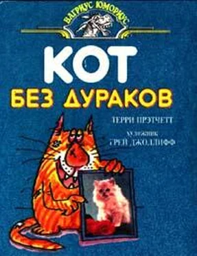 Terry Pratchett Кот без дураков (пер. Е.Ланчиков) обложка книги