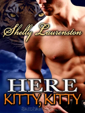 Shelly Laurenston Here Kitty, Kitty! обложка книги