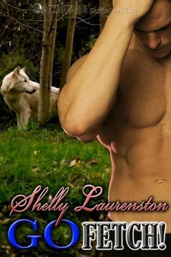 Shelly Laurenston Go Fetch обложка книги