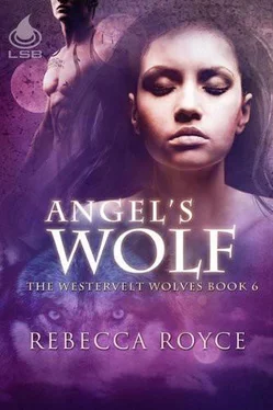 Rebecca Royce Angel’s Wolf обложка книги