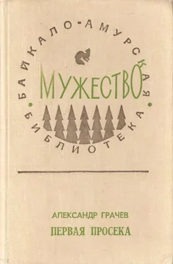 Александр Грачев Первая просека обложка книги