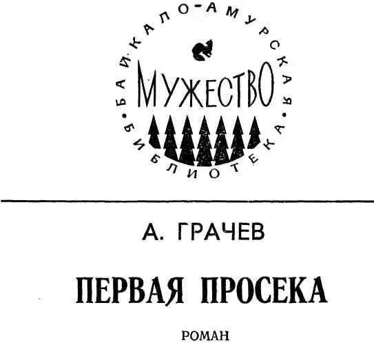 И просекой казалась для меня Всей нашей жизни первая дорога П Комаров - фото 2