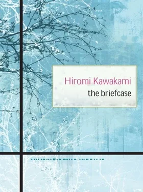 Hiromi Kawakami The Briefcase обложка книги