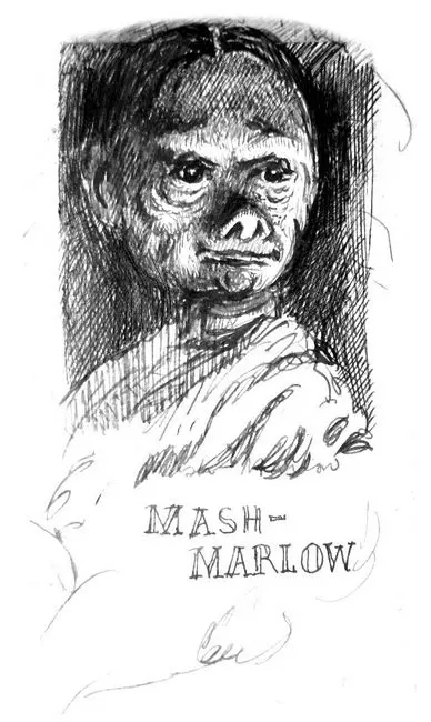 Истинная правда прошептал Стриг почти неизменно норовивший наступить так - фото 20