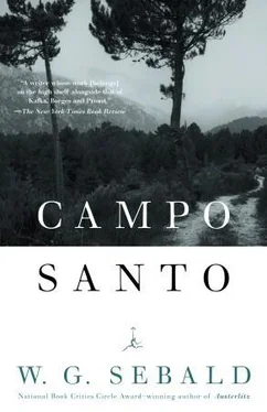 Winfried Sebald Campo Santo обложка книги