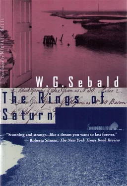 Winfried Sebald The Rings of Saturn обложка книги