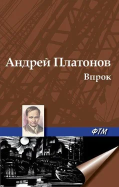 Андрей Платонов Впрок обложка книги