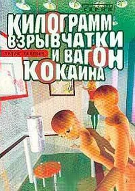 Вадим Калинин Килограмм взрывчатки и вагон кокаина обложка книги