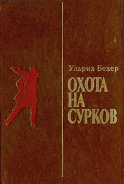 Ульрих Бехер Охота на сурков обложка книги