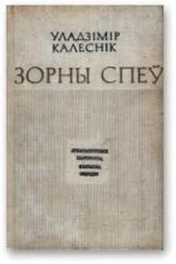 Уладзімір Калеснік Зорны спеў обложка книги