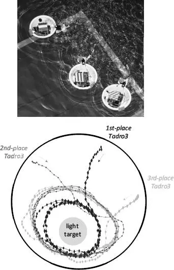 FIGURE 43 Tadro3s compete for food In the top image the three Tadro3s - фото 20