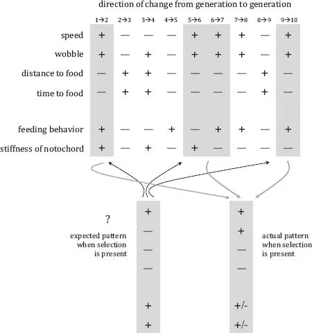 FIGURE 44 For the subbehaviors that make up feeding behavior a consistent - фото 21